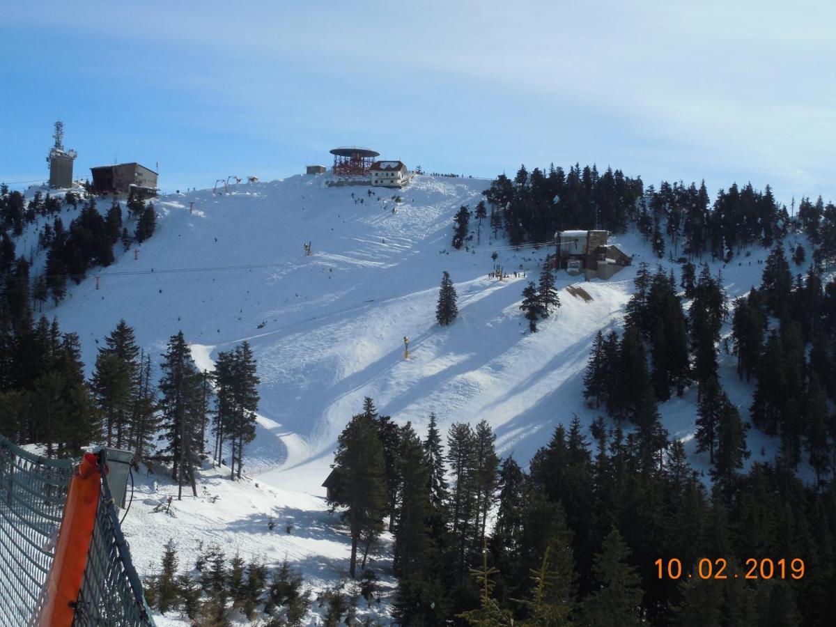 Ski & Bike Residence Poiana Brasov Eksteriør bilde